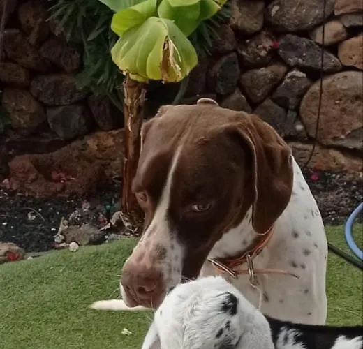 Casa Barranco De La Sal Gospodarstwo wiejskie
