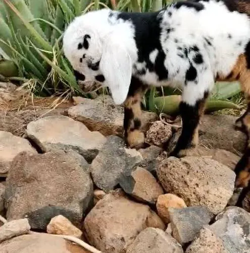 Casa Barranco De La Sal