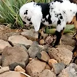 Casa Barranco De La Sal