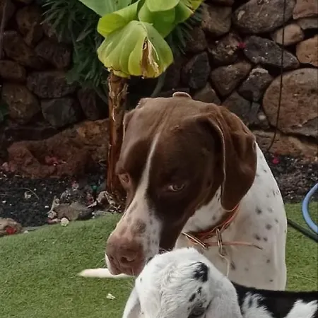 Casa Barranco De La Sal Casa di campagna