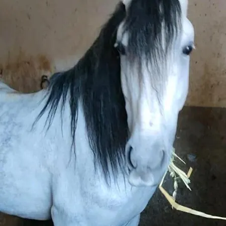 Casa Barranco De La Sal 乡村民宿 罗萨里奥港